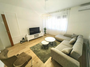 Luxury Apartment 2